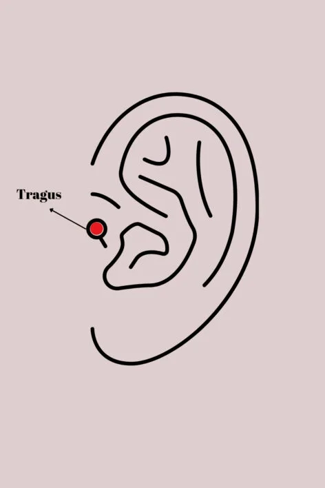 316L Çelik Gold Renk Zirkon Taşlı Kanat Tragus Piercing - Görsel 2