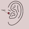 316L Çelik Gümüş Renk Zirkon Taşlı Toplu İğne Tragus Piercing - Görsel 2