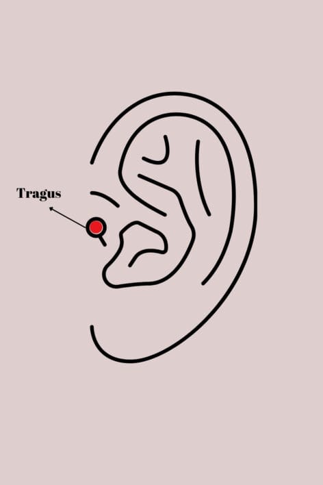 316L Çelik Gümüş Renk Zirkon Taşlı Güneş Tragus Piercing - Görsel 2