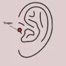 316L Çelik Gümüş Renk Zirkon Taşlı Güneş Tragus Piercing - Görsel 2