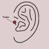 316L Çelik Gümüş Renk Zirkon Taşlı Çiçek Model Tragus Piercing - Görsel 2