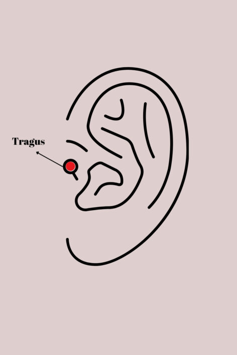 316L Çelik Gümüş Renk Siyah Zirkon Taş Detay Örümcek Ağ Model Tragus Piercing - Görsel 2