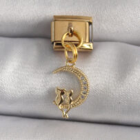 316L Çelik Gold Renk Zirkon Taşlı Hilal Model Kedi Detay Nomination Charm