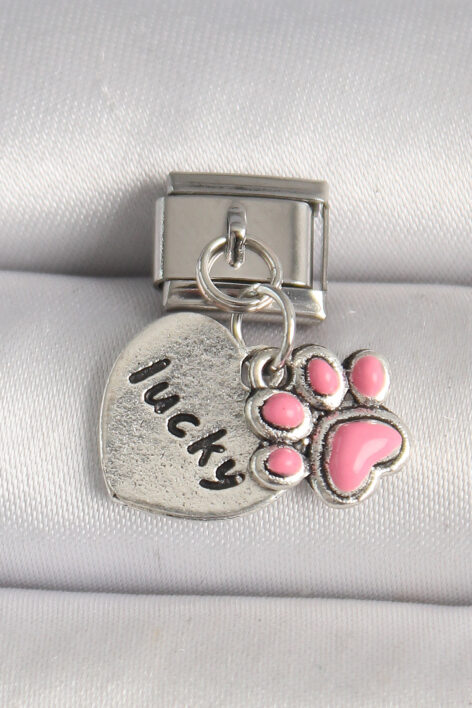 316L Çelik Gümüş Renk Pembe Pati 'lucky' İşlemeli Kalp Model Nomination Charm